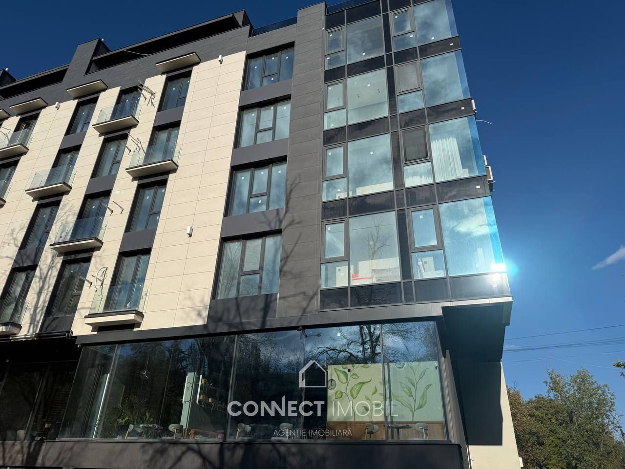 str. Independenței, Botanica, Chisinau